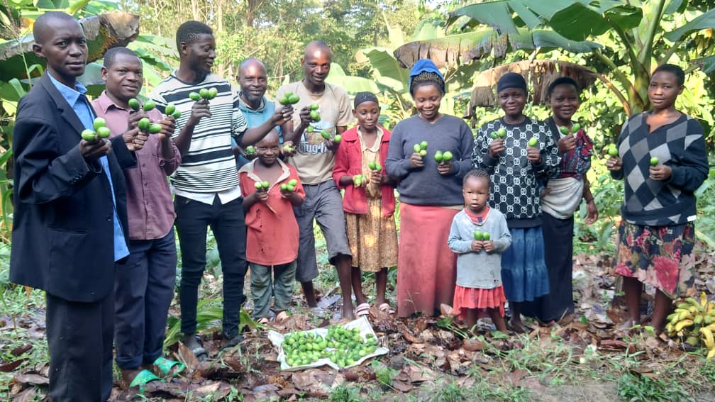 Promoting Food Security in Butama IV village,  Bundibugyo district